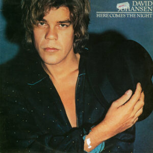 David Johansen <br> Here Comes The Night